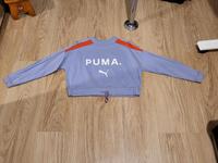 Lila Puma Pulli Berlin - Mitte Vorschau