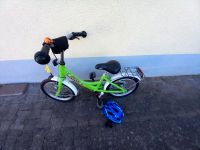 Puky 16 Zoll Kinderfahrrad Fahrrad kiwigrün Rheinland-Pfalz - Birkenfeld Vorschau