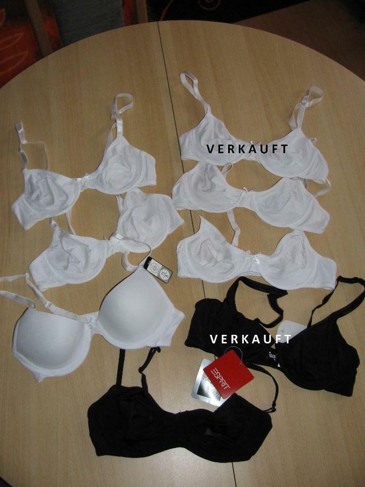 2 neue Bügel BH + Push-up Dessous Gr. 75B **NEU** in Jößnitz