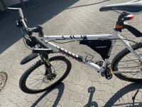 Focus Fahrrad Fatboy XL Herren Top Zustand! Nordrhein-Westfalen - Bad Salzuflen Vorschau