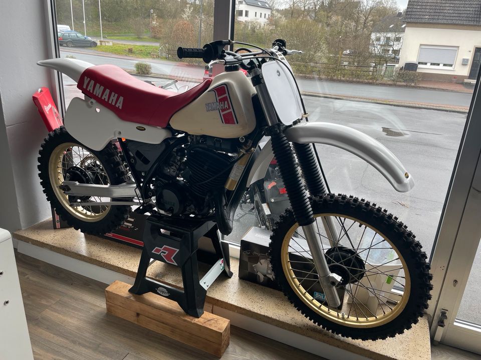 Yamaha YZ 490 in Stadtkyll