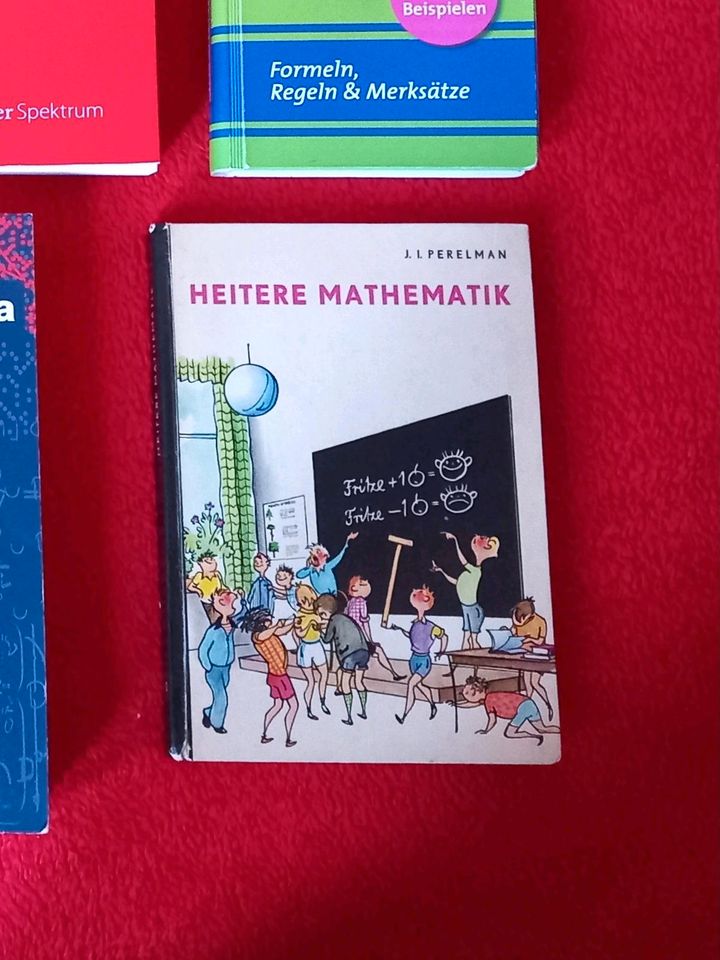 Mathematik Bücher Studium Statistik Algebra Modellieren in Hofgeismar