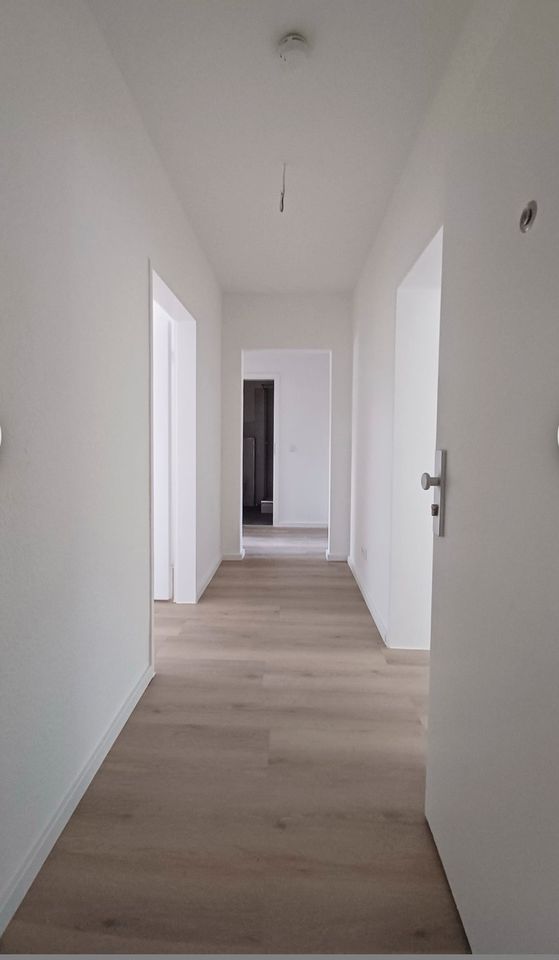 Schöne 3 Zimmer Wohnung in Bielefeld in Bielefeld