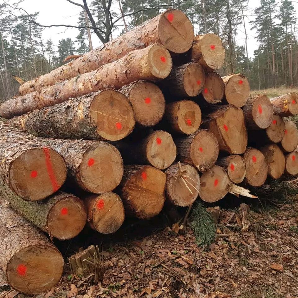 Sägewerk Holz Bretter  Bauholz Kantholz Brennholz  Feuerholz Carport  Rauspund Dachlatten Balken in Kemberg