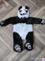 Kleiner Knuddelpanda Sachsen - Mittweida Vorschau