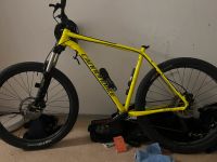 Cannondale mountain bike cujo 27.5+ Bergedorf - Hamburg Billwerder Vorschau