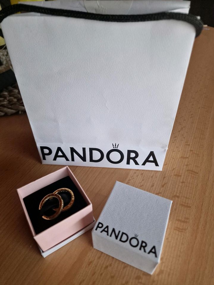 Neue Pandora Ohrringe Gold in Harpstedt