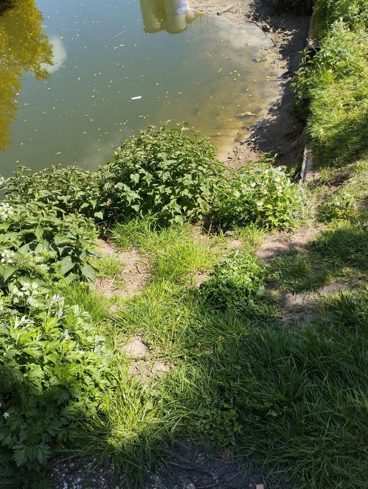 Unterkunft für Senioren in Naturandschaft am Nord/Ostsee Kanal in Schafstedt