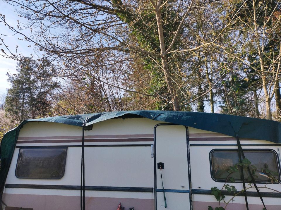 Abdeckplane für Wohnwagen 10 x 3 Meter in Burg (Spreewald)