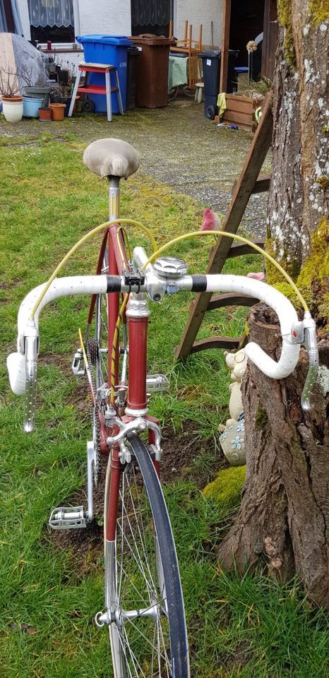 Bonanza Vintage Rennrad (Baujahr 1977) in Lottstetten