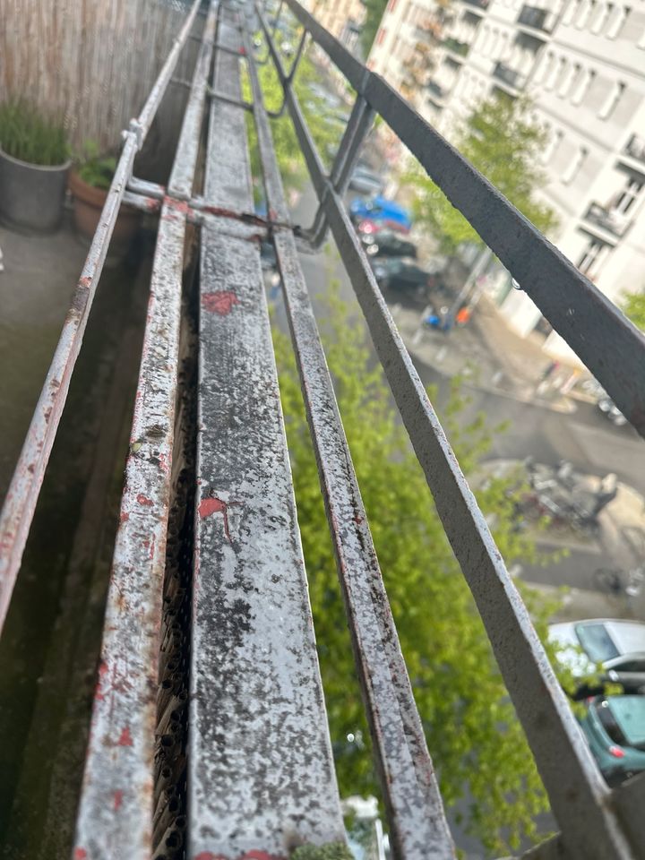 Balkon Geländer Streichen in Berlin