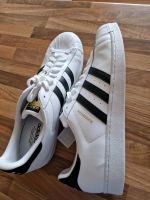 Adidas Superstar Sneaker Turnschuh Gr. 54 2/3, US 19 Hessen - Bad Homburg Vorschau