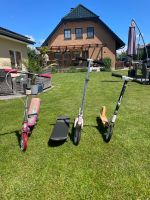 Spacescooter, Roller, Skateboard Brandenburg - Kremmen Vorschau