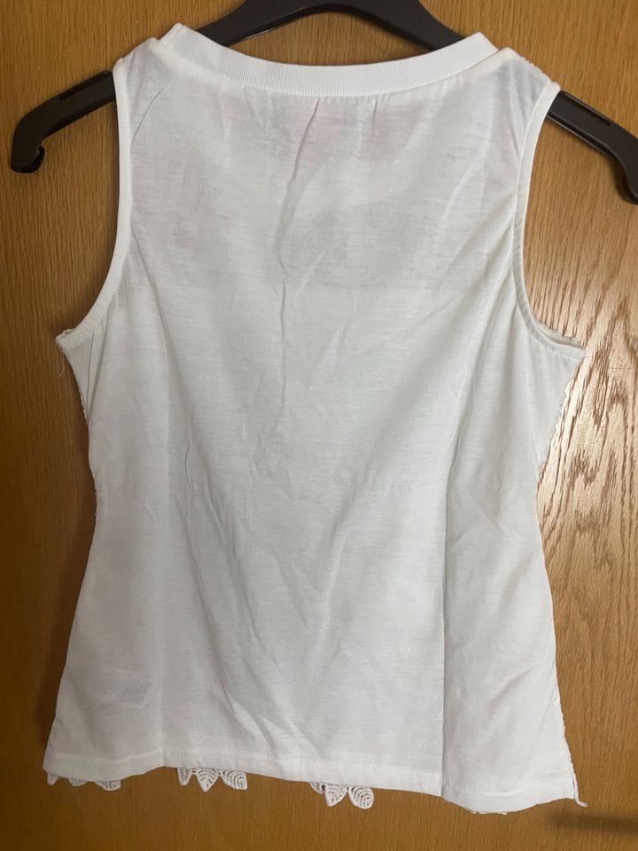 Gr.36 Edles Spitzentop Top DOROTHY PERKINS neu in Leimen