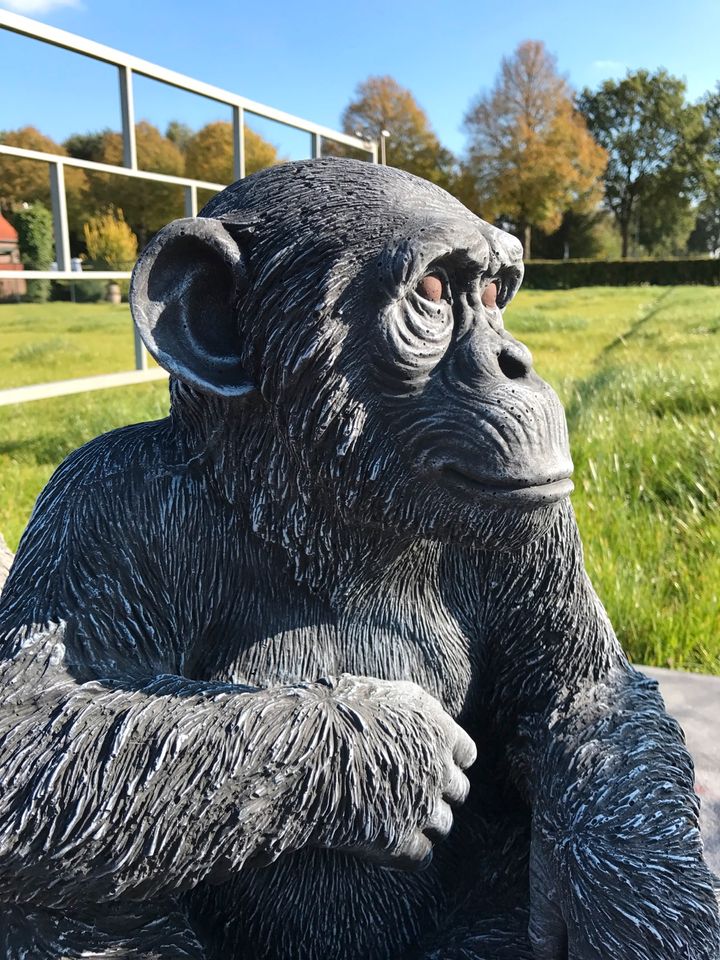 ‼️Schimpanse 52cm Chita Bonobo Steinguss Affe Affen Menschenaffe in Schönefeld