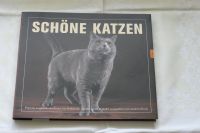 Bildband Schöne Katzen - Portraits. Darlene Arden, Nick Mays Bayern - Rotthalmünster Vorschau