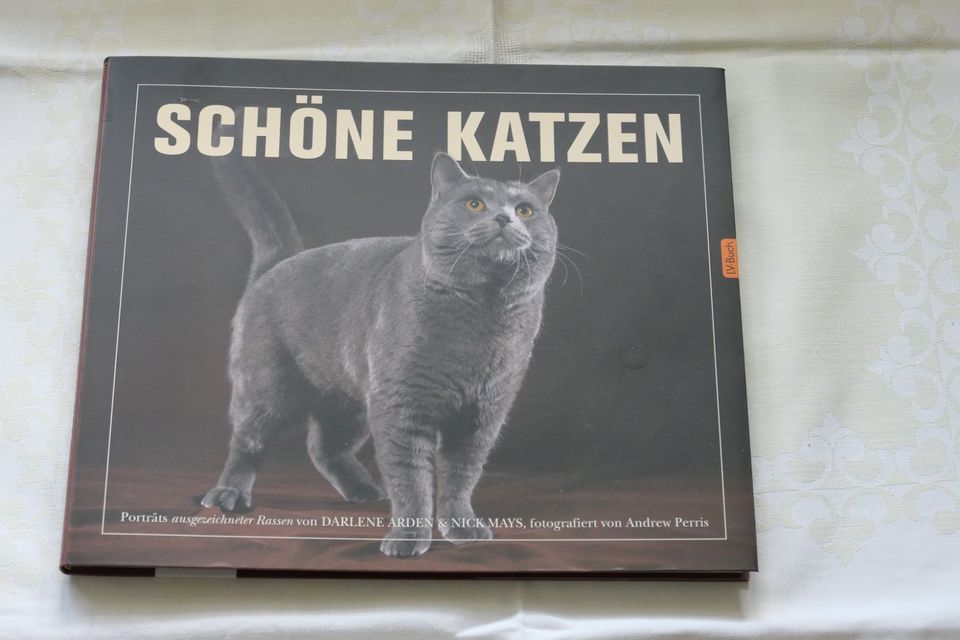 Bildband Schöne Katzen - Portraits. Darlene Arden, Nick Mays in Rotthalmünster