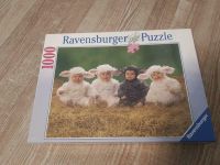 1000 Ravensburger Puzzle / süße Lämmchen 153770 OVP Ostern Sachsen - Kitzscher Vorschau