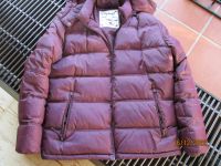 Esprit ~ Herren Steppjacke / Winterjacke ~ Größe XL Rheinland-Pfalz - Donsieders Vorschau