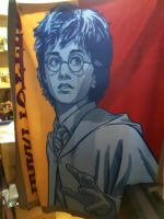 Wie neu 2x vorhanden Harry Potter Decke Fleecedecke Junior Hessen - Brachttal Vorschau