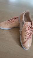 Neue Reebook Schuhe gr.41 Baden-Württemberg - Westhausen Vorschau
