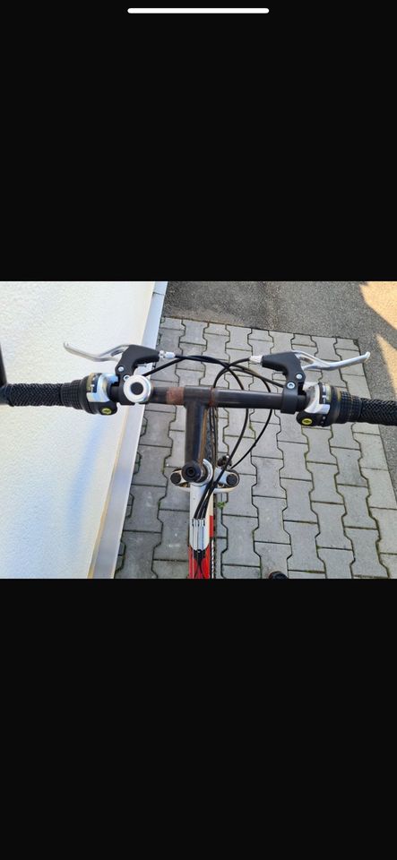 Crosswind Fahrrad in Mainz