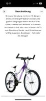 Fahrrad 24 Zoll Baden-Württemberg - Pforzheim Vorschau