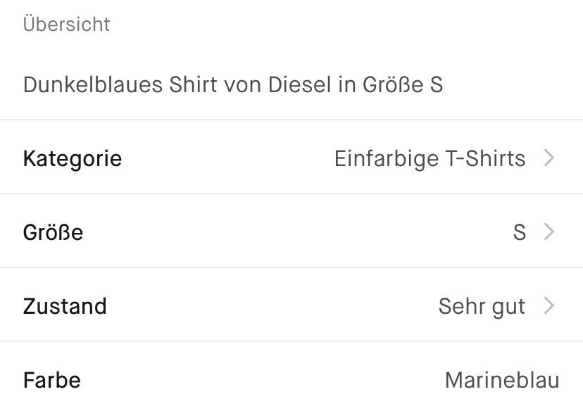 Herrentshirt Diesel in Grafenberg