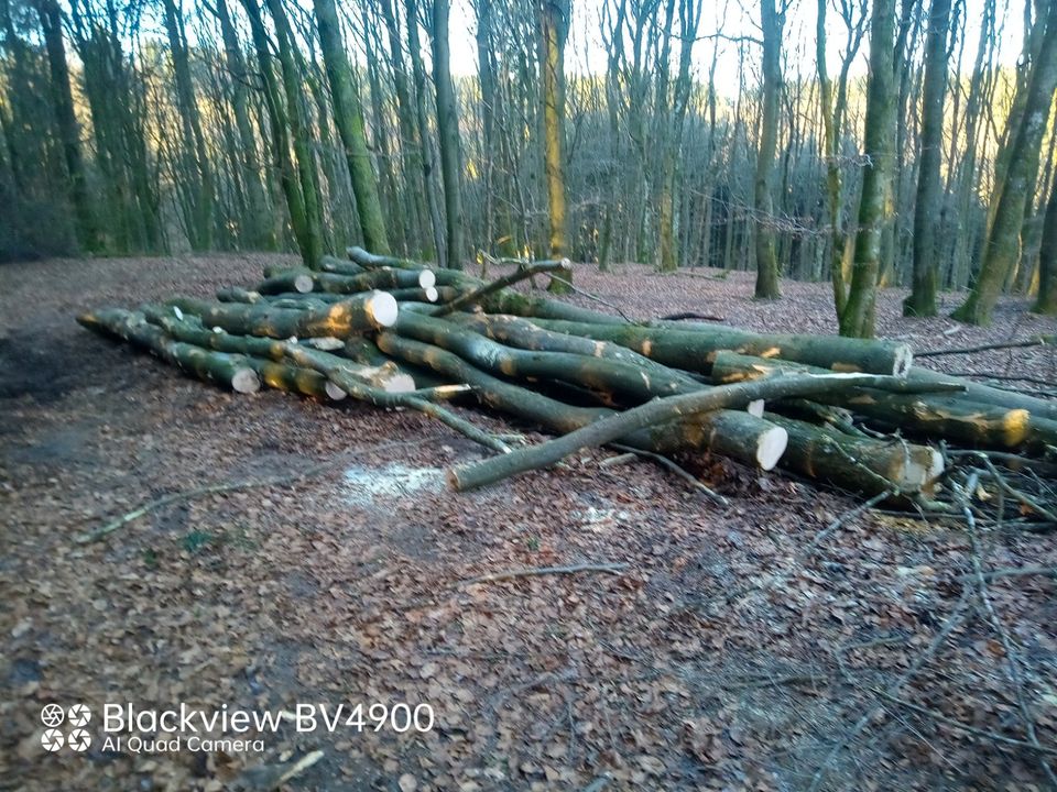 Brennholz Lohndienstleistungen Buche Transport Holzeinschlag in Prüm