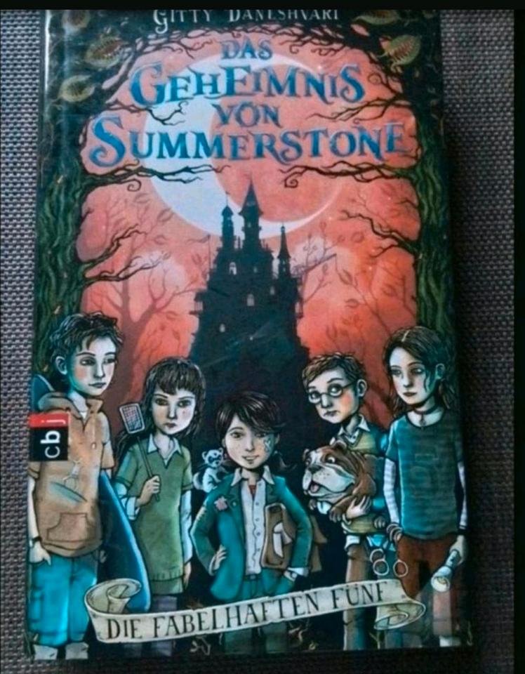 Das Geheimnis von Summerstone Witzig, actionreich, geheimnisvol in Bottrop