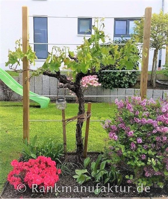 ☘️RANKMANUFAKTUR Design Rankhilfe Rankgerüst Kletterhilfe Rankgitter Spalier Rosenbogen Metall Holz Sichtschutz Garten Terasse Spalierobst Weinrebe Himbeeren Balkon Sichtschutzzaun Hochbeet Pergola ☘️ in Röthenbach