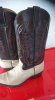 Buffalo Westernstiefel Lederstiefel Cowboystiefel echt Leder 42 Bayern - Ingolstadt Vorschau