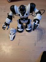 Roboter zu verkaufen Hessen - Büttelborn Vorschau