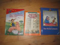 3x Kinderbuch Schwein Gottfried das fliegende sehen fern Kicher Hessen - Hüttenberg Vorschau