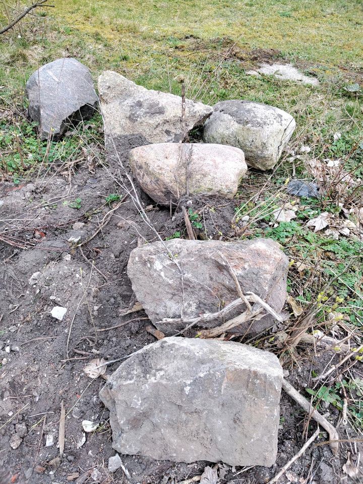 Feldsteine Findlinge Granitsteine zu verschenken in Haldensleben