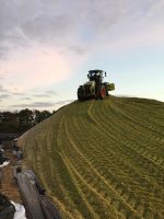 Suche Silomais ab Feld, Rüben, Maissilage in Weser Ems Niedersachsen - Großefehn Vorschau