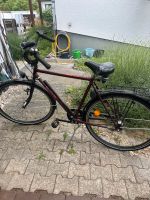 Staiger Fahrrad Hessen - Riedstadt Vorschau