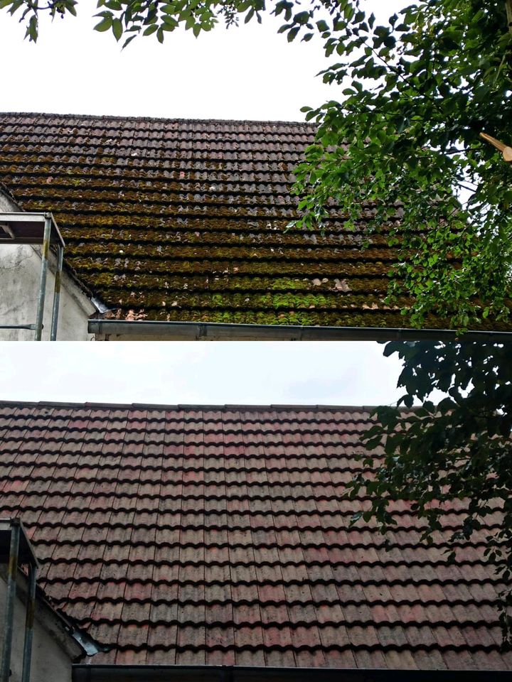 Terrasse Einfahrt Mauer Fassade Hof Dach Reinigung Steinreinigung in Bielefeld