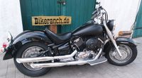 Yamaha XVS 1100 Classic* 8.900* Black-Oldstyle Edition* wie neu** Kreis Ostholstein - Süsel Vorschau