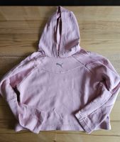 Obersize Kapuzenhoodie PUMA rosa Gr. S kurz Bayern - Laberweinting Vorschau