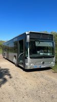 Busfahrer/in , gern auch Aushilfen/Rentner , zur  Festeinstellung Schleswig-Holstein - Reinbek Vorschau