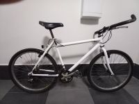 Trekkingrad / Fahrrad 26 Zoll Brandenburg - Cottbus Vorschau