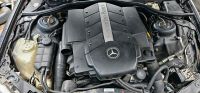 Mercedes S500 V8 Bj 98 Schlachtfahrzeug Motor Getriebe Achse Nordrhein-Westfalen - Mülheim (Ruhr) Vorschau