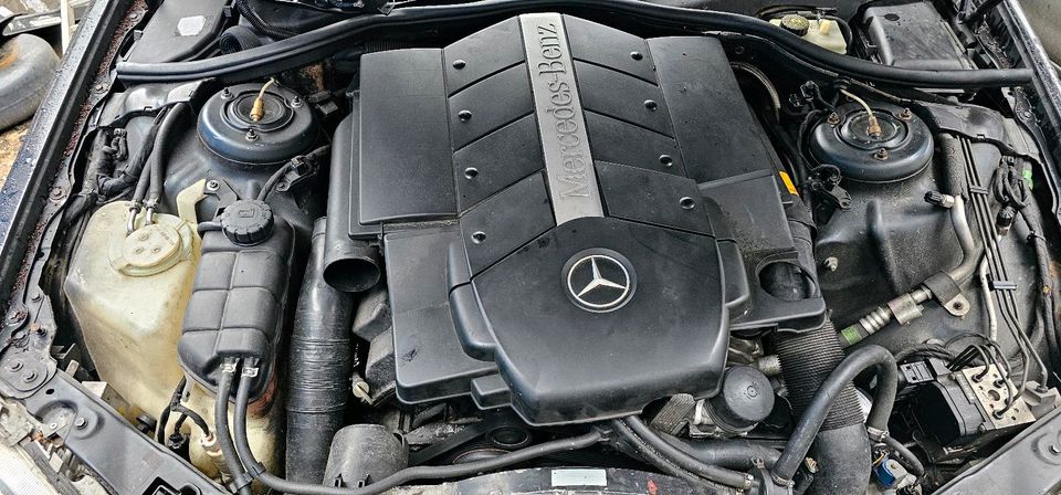 Mercedes S500 V8 Bj 98 Schlachtfahrzeug Motor Getriebe Achse in Mülheim (Ruhr)