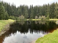 VIEL PLATZ IN LANDSCHAFTLICH BESTER LAGE Sachsen - Marienberg Vorschau