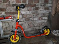 Puky Roller Kinderroller Niedersachsen - Holzminden Vorschau