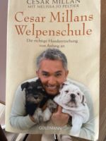 Cesar Milan Welpenschule Buch Baden-Württemberg - Hemsbach Vorschau