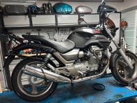 Moto Guzzi Breva 750 in Teilen Tank Sitz Tacho Gabel Rahmen Nordrhein-Westfalen - Bad Salzuflen Vorschau