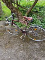 Gudereit Vintage Fahrrad mit Brooks Sattel  26 Zoll Stuttgart - Plieningen Vorschau