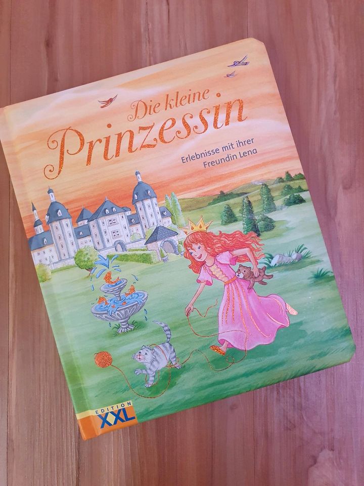 Buch Die kleine Prinzessin Kinderbuch in Heidelberg